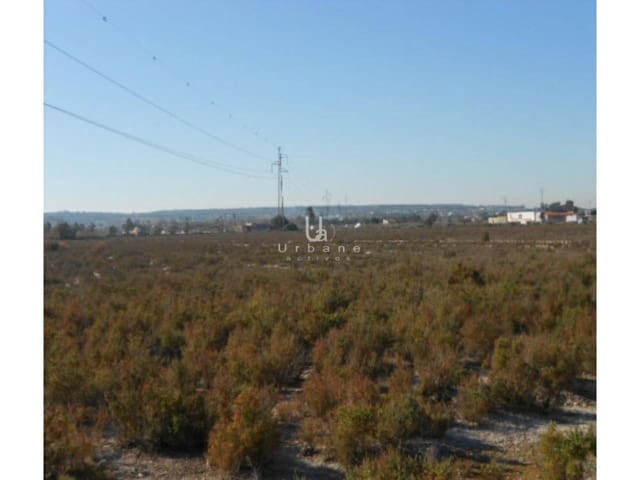 Mark till salu i Elche / Elx - 49 000 € (Ref: 10101375)