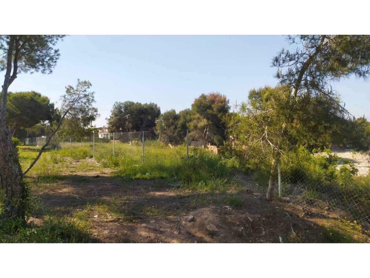 Bauplatz zu verkaufen in Orihuela - 790.000 € (Ref: 6391240)