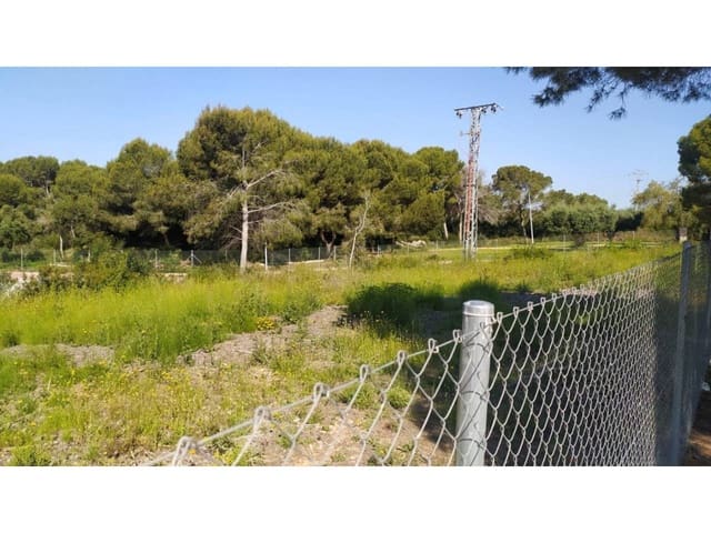 Area Edificabile in vendita in Orihuela - 790.000 € (Rif: 6391240)