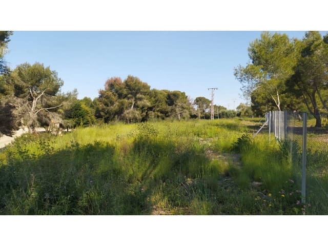 Area Edificabile in vendita in Orihuela - 790.000 € (Rif: 6391240)