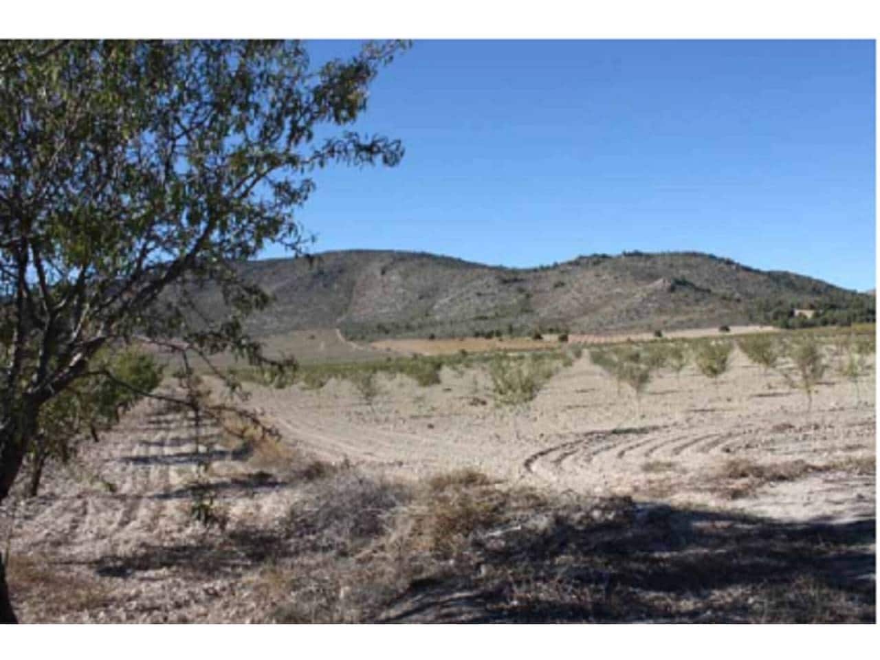 Grunde uden byggetilladelser til salg i Puebla de Don Fadrique - € 274.400 (Ref: 6531478)