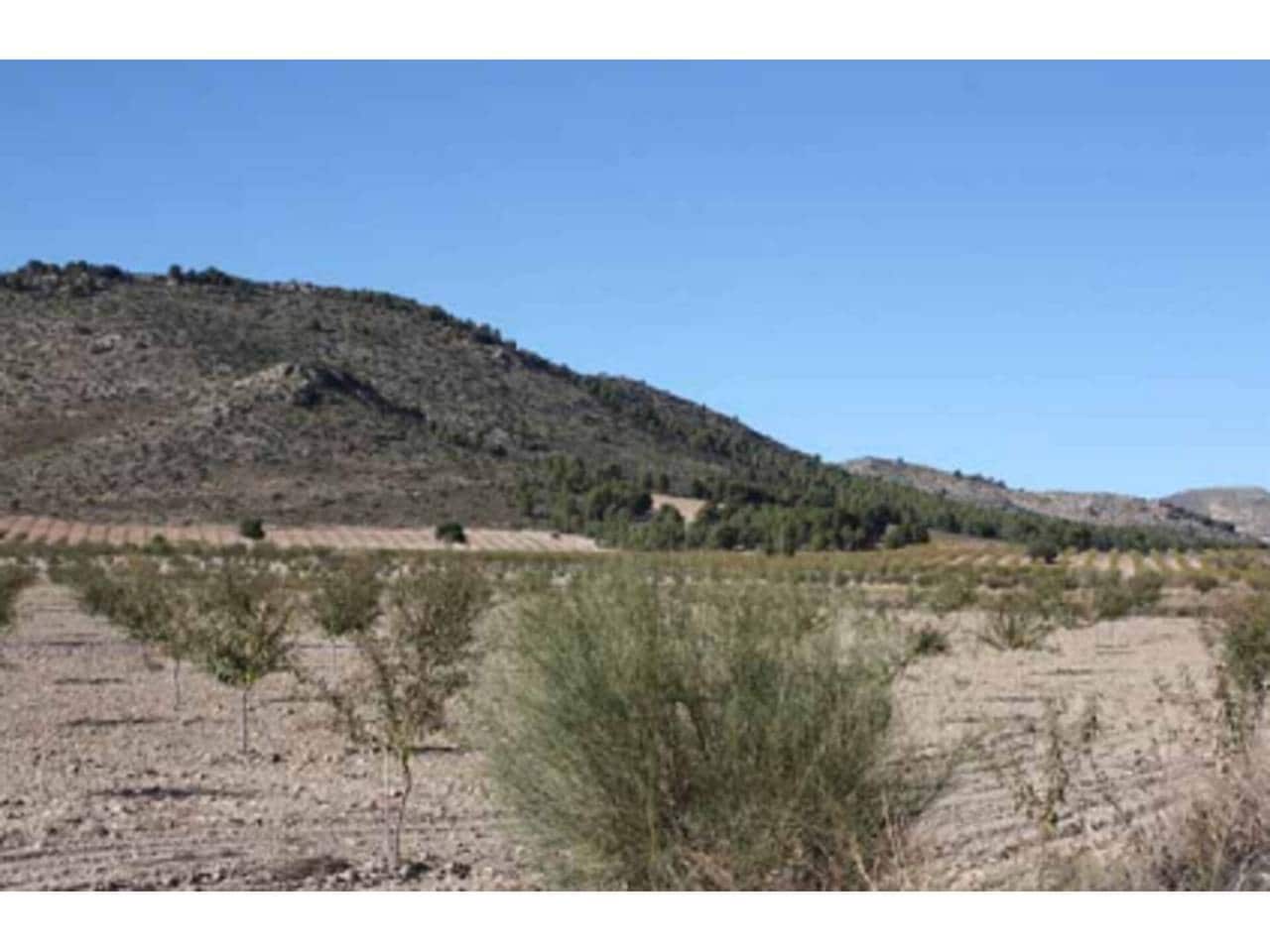 Grunde uden byggetilladelser til salg i Puebla de Don Fadrique - € 274.400 (Ref: 6531478)