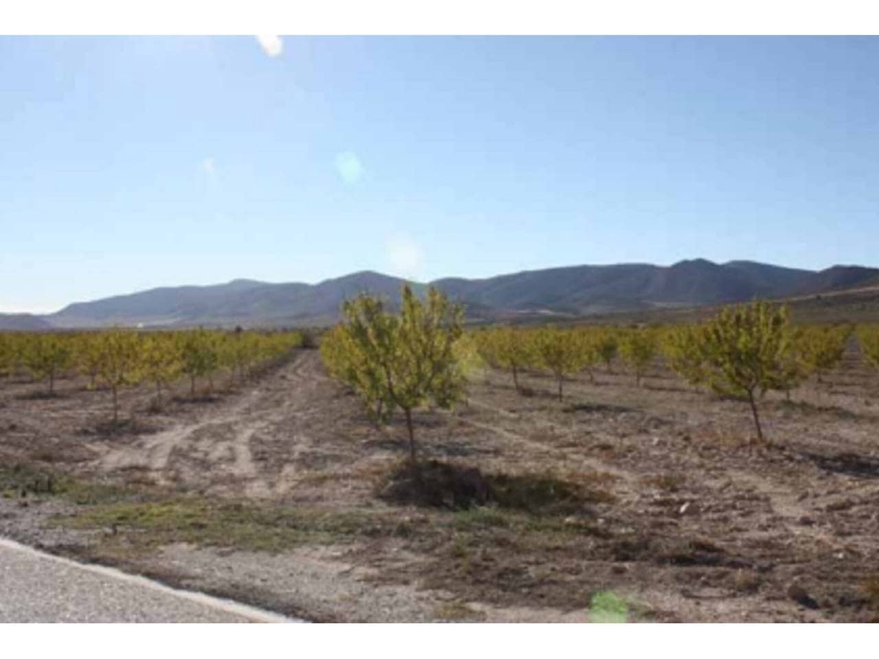 Grunde uden byggetilladelser til salg i Puebla de Don Fadrique - € 274.400 (Ref: 6531478)