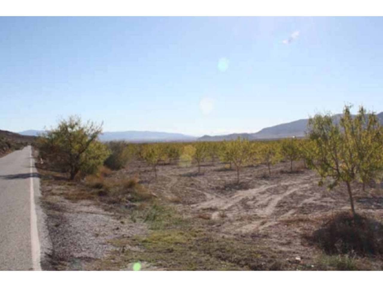 Grunde uden byggetilladelser til salg i Puebla de Don Fadrique - € 274.400 (Ref: 6531478)