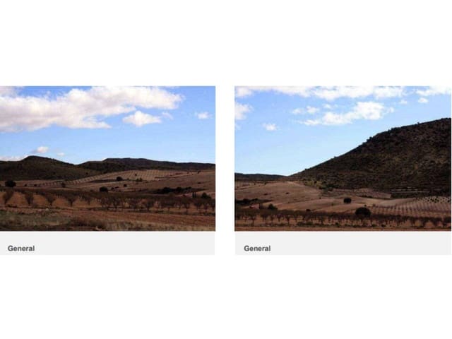 Undeveloped Land for sale in Puebla de Don Fadrique - € 274,400 (Ref: 6531478)