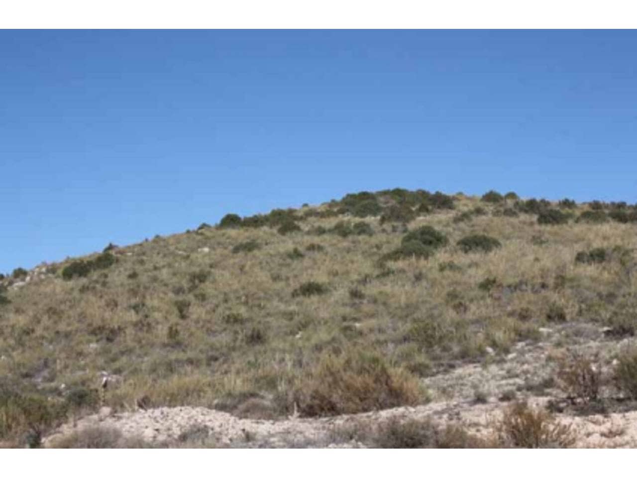 Grunde uden byggetilladelser til salg i Puebla de Don Fadrique - € 274.400 (Ref: 6531478)