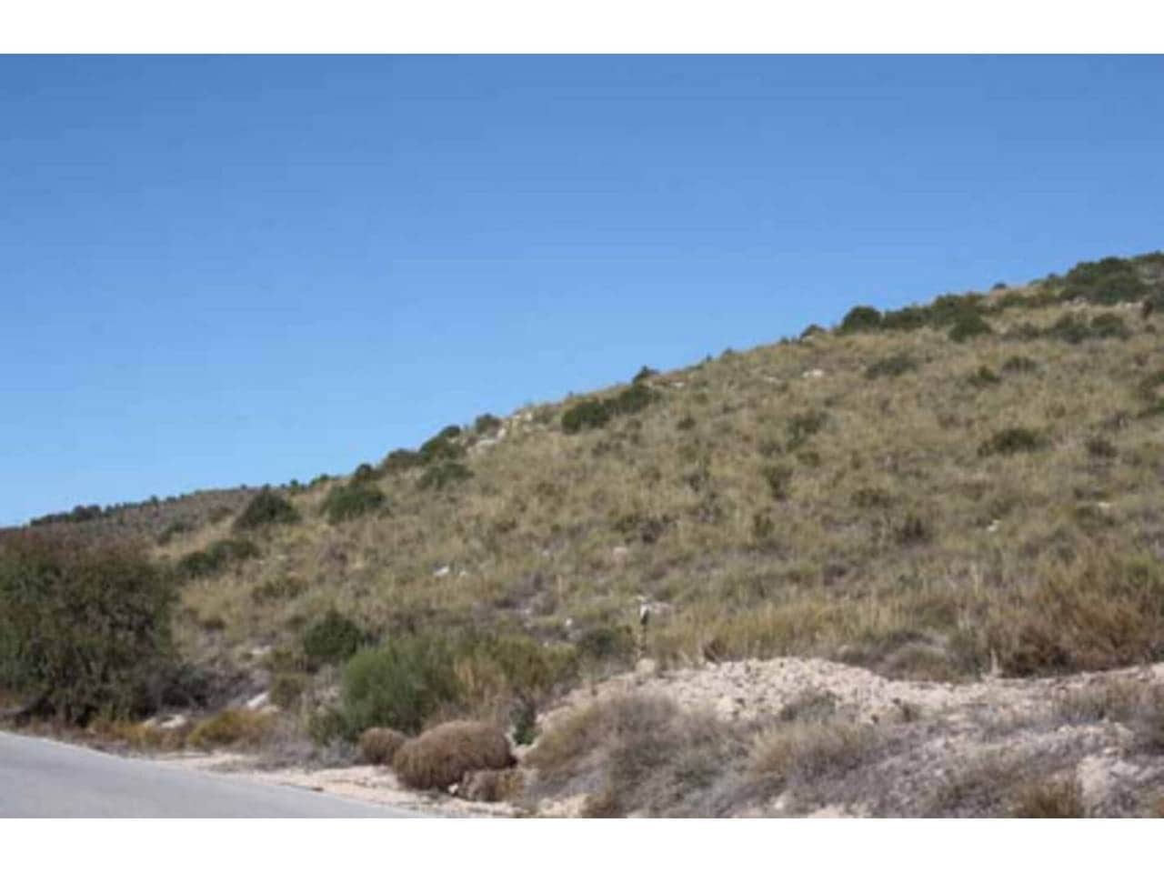 Grunde uden byggetilladelser til salg i Puebla de Don Fadrique - € 274.400 (Ref: 6531478)