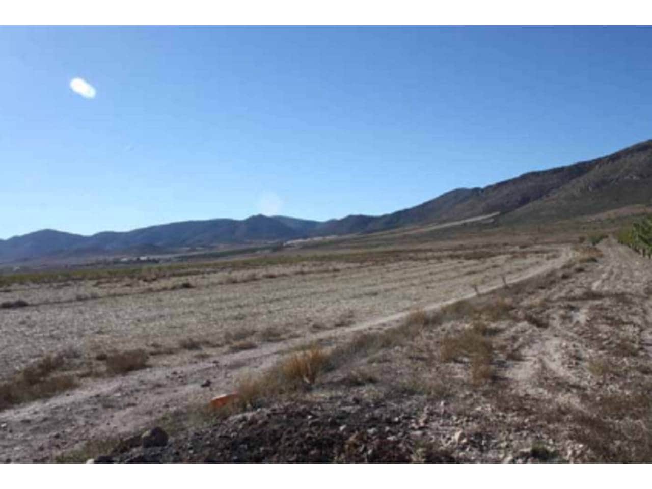 Grunde uden byggetilladelser til salg i Puebla de Don Fadrique - € 274.400 (Ref: 6531478)