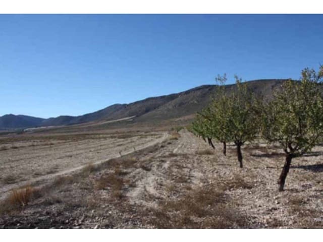 Undeveloped Land for sale in Puebla de Don Fadrique - € 274,400 (Ref: 6531478)