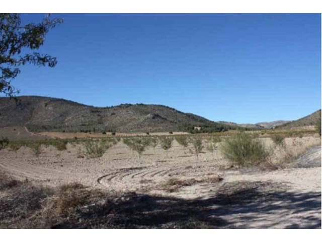 Undeveloped Land for sale in Puebla de Don Fadrique - € 274,400 (Ref: 6531478)