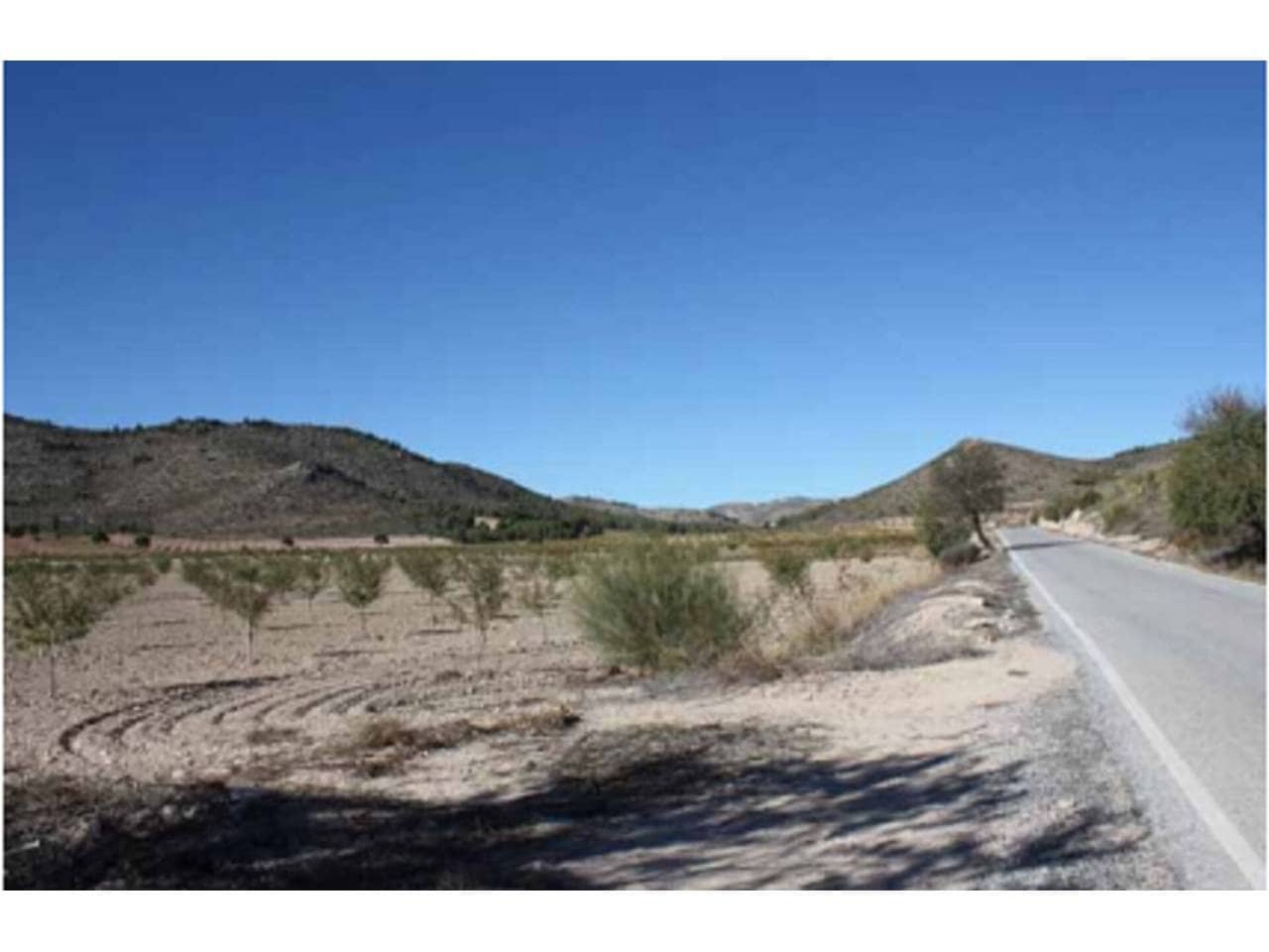 Grunde uden byggetilladelser til salg i Puebla de Don Fadrique - € 274.400 (Ref: 6531478)