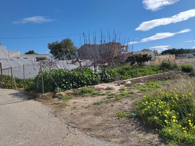 Tontti myytävänä paikassa Cañada de San Pedro, Murcia kaupunki - 20 000 € (Ref: 7474931)