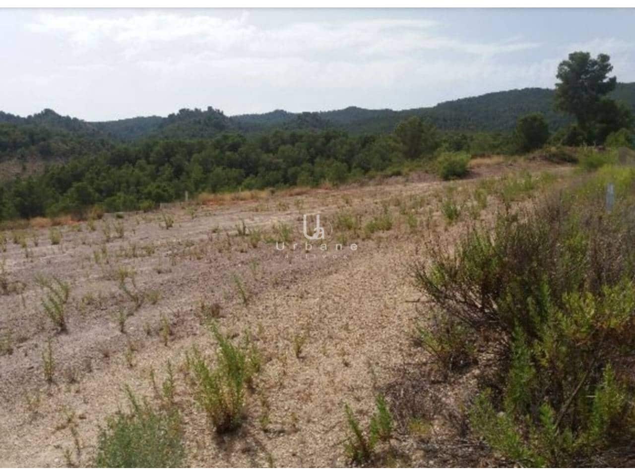 Bouwgrond te koop in Torre Guil - € 616.000 (Ref: 7474999)