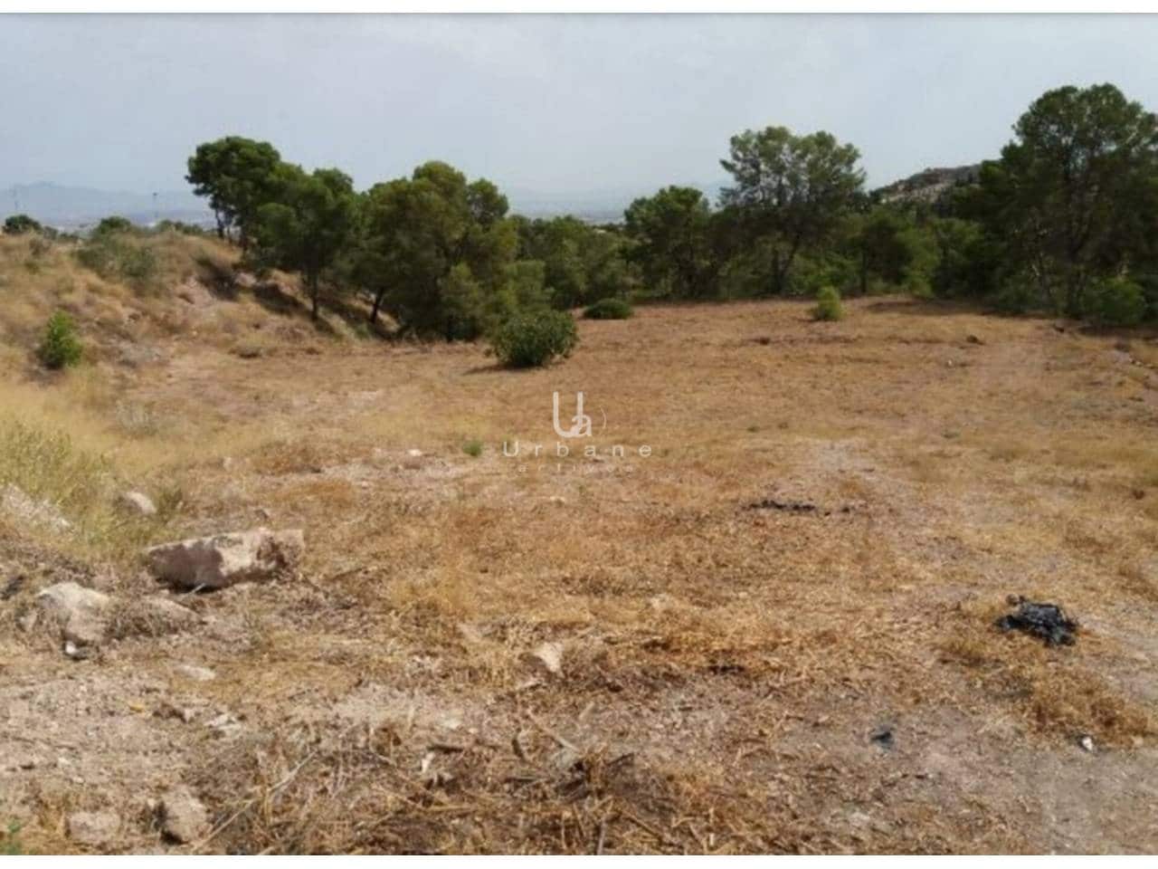 Bouwgrond te koop in Torre Guil - € 616.000 (Ref: 7474999)