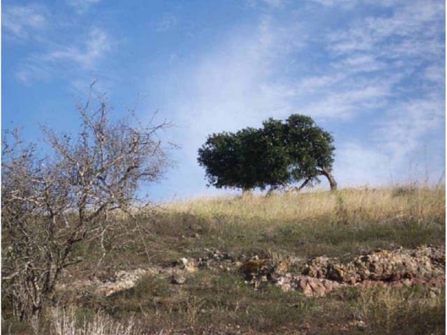 Finca/Herregård til salgs i Isla Plana, Cartagena - € 62 600 (Ref: 7519215)