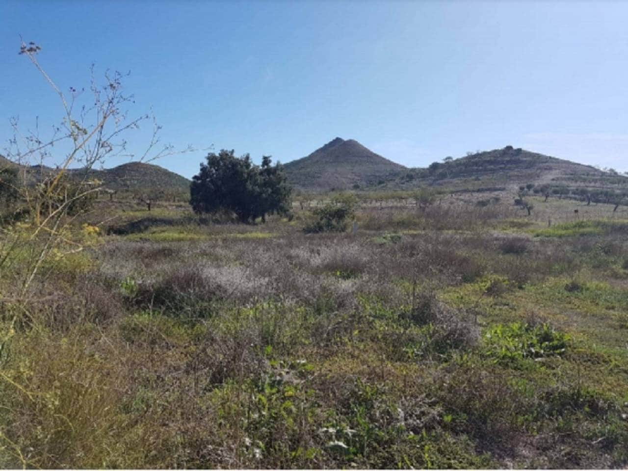 Finca/Herregård til salgs i Isla Plana - € 62 600 (Ref: 7519215)