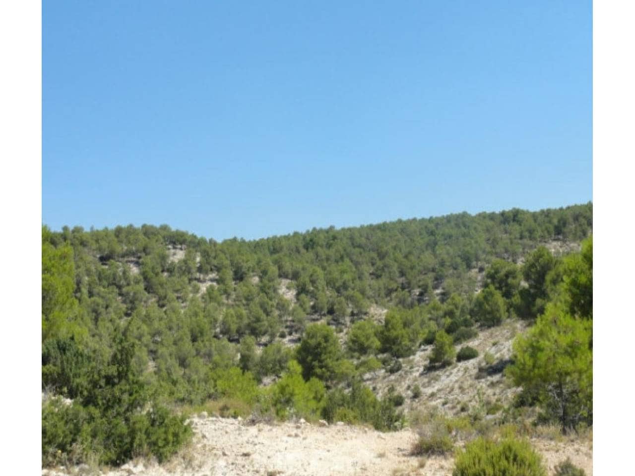 9 soveværelse Finca/Landehus til salg i Caravaca de la Cruz med swimmingpool garage - € 450.000 (Ref: 7524364)