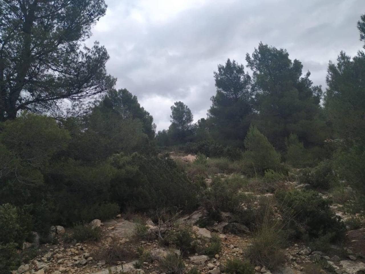 9 soveværelse Finca/Landehus til salg i Caravaca de la Cruz med swimmingpool garage - € 450.000 (Ref: 7524364)