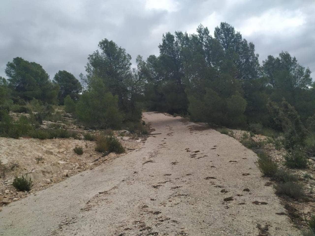 9 soveværelse Finca/Landehus til salg i Caravaca de la Cruz med swimmingpool garage - € 450.000 (Ref: 7524364)