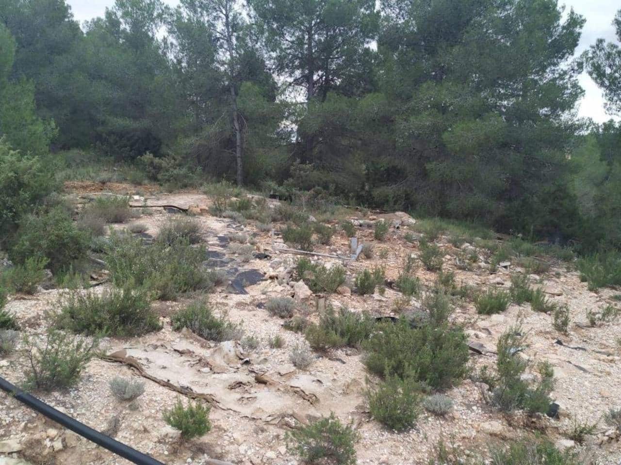 9 soveværelse Finca/Landehus til salg i Caravaca de la Cruz med swimmingpool garage - € 450.000 (Ref: 7524364)