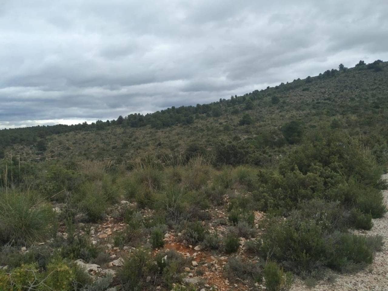 9 soveværelse Finca/Landehus til salg i Caravaca de la Cruz med swimmingpool garage - € 450.000 (Ref: 7524364)