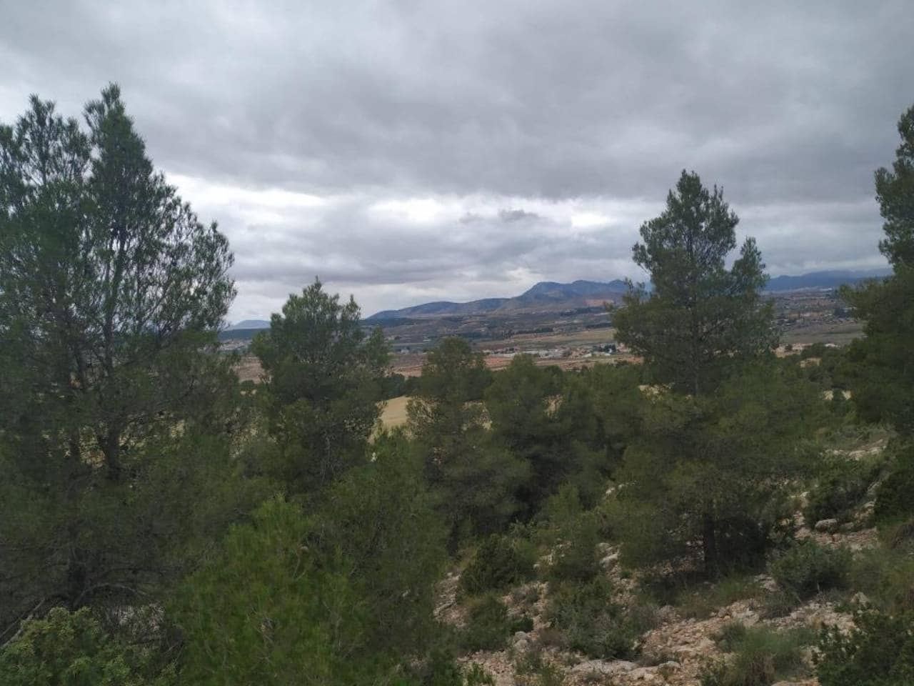 9 soveværelse Finca/Landehus til salg i Caravaca de la Cruz med swimmingpool garage - € 450.000 (Ref: 7524364)