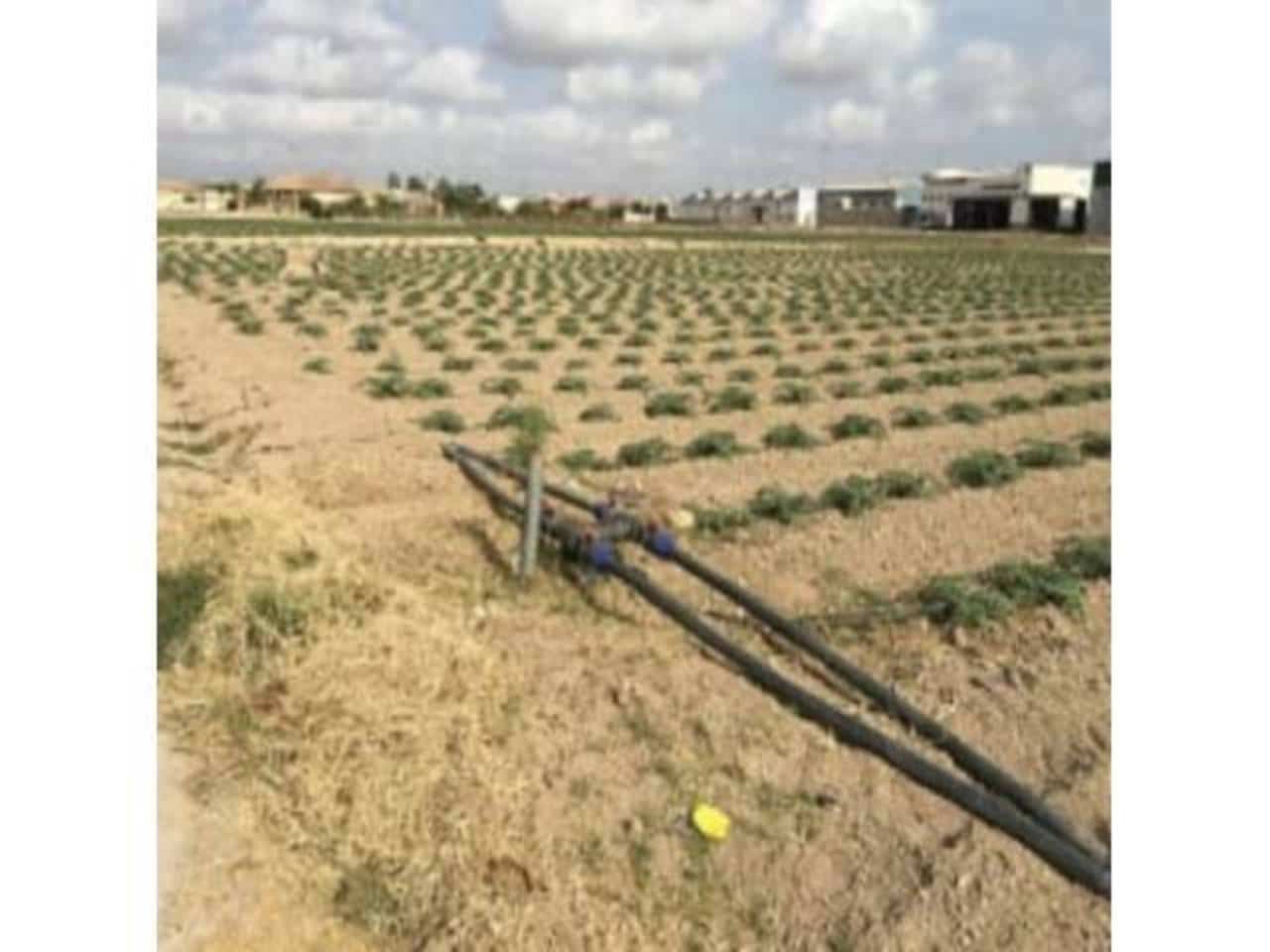 Bouwgrond te koop in Torre-Pacheco - € 100.000 (Ref: 7578825)