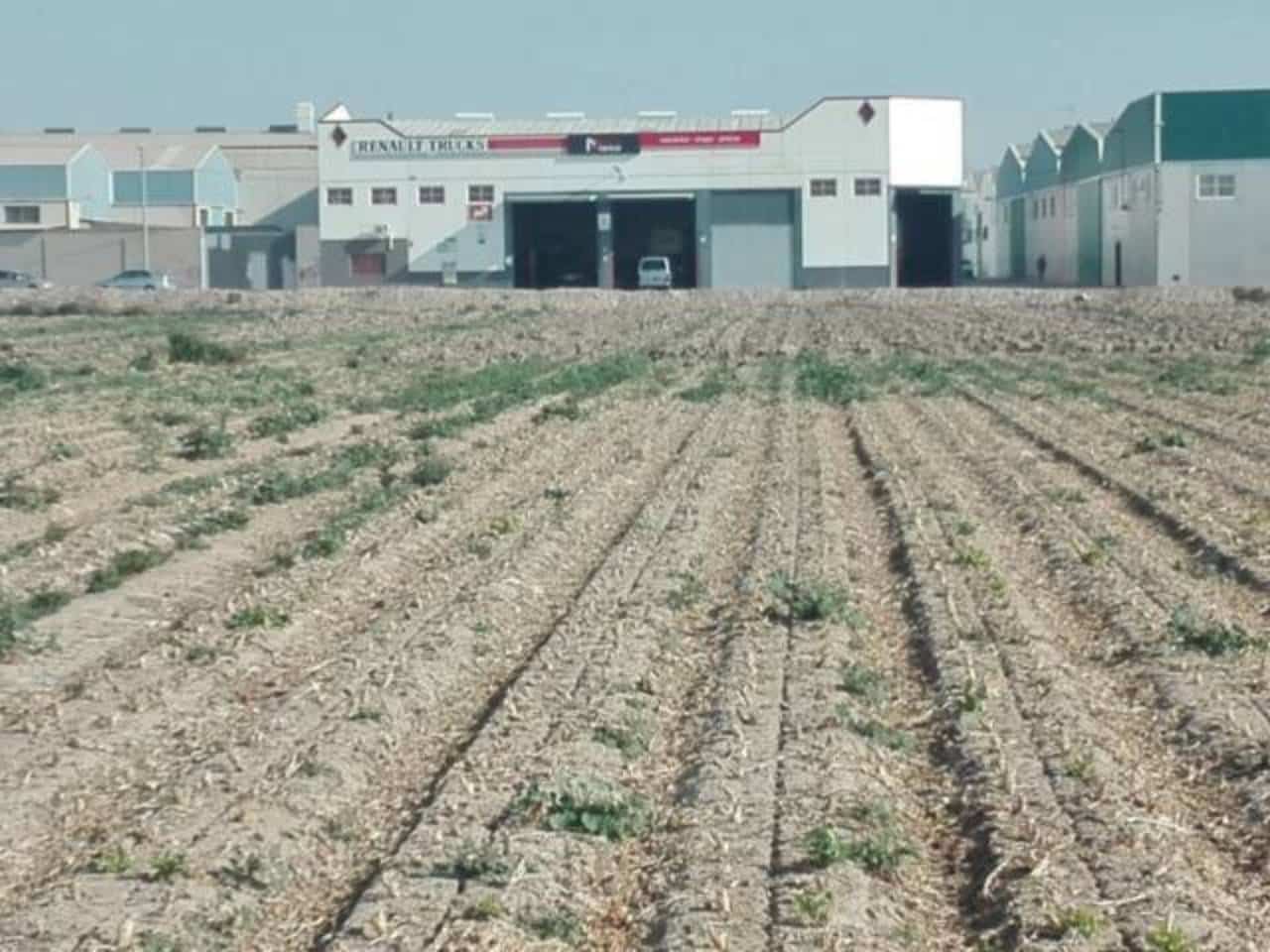 Bouwgrond te koop in Torre-Pacheco - € 100.000 (Ref: 7578825)