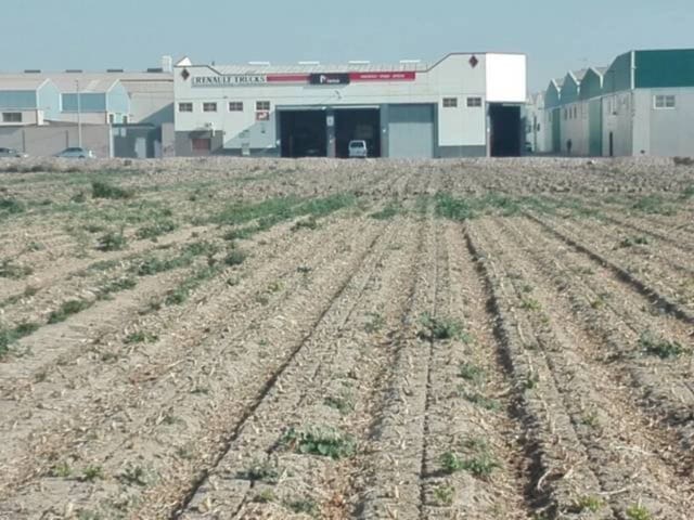 Bouwgrond te koop in Torre-Pacheco - € 100.000 (Ref: 7578825)