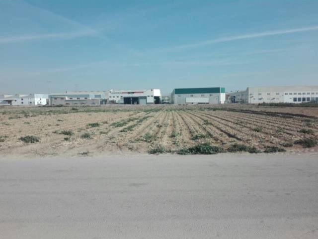 Bouwgrond te koop in Torre-Pacheco - € 100.000 (Ref: 7578825)