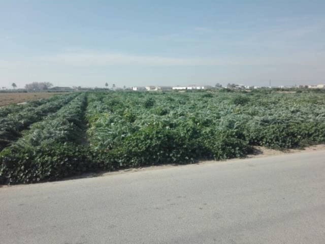 Bouwgrond te koop in Torre-Pacheco - € 100.000 (Ref: 7578825)