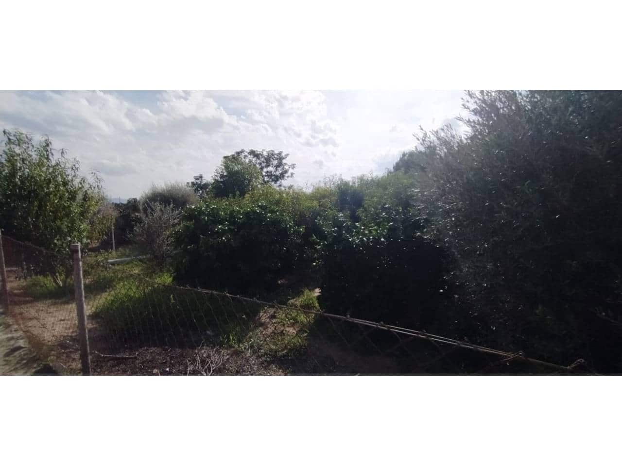 Grond te koop in Las Torres de Cotillas - € 25.500 (Ref: 7840646)