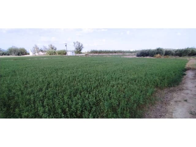 Undeveloped Land for sale in Las Torres de Cotillas - € 25,500 (Ref: 7840646)