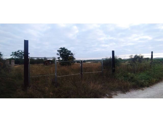 Undeveloped Land for sale in Las Torres de Cotillas - € 25,500 (Ref: 7840646)