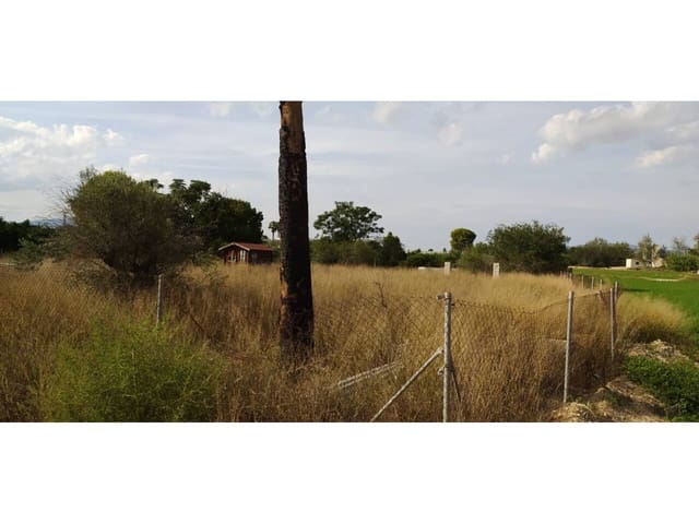 Undeveloped Land for sale in Las Torres de Cotillas - € 25,500 (Ref: 7840646)