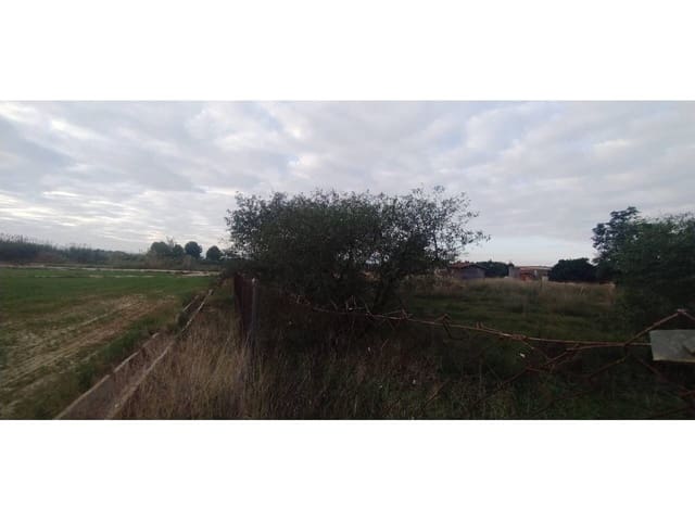 Undeveloped Land for sale in Las Torres de Cotillas - € 25,500 (Ref: 7840646)