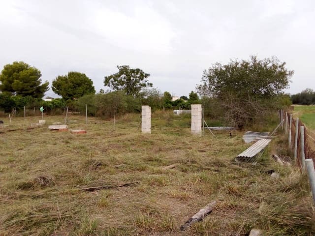 Undeveloped Land for sale in Las Torres de Cotillas - € 25,500 (Ref: 7840646)