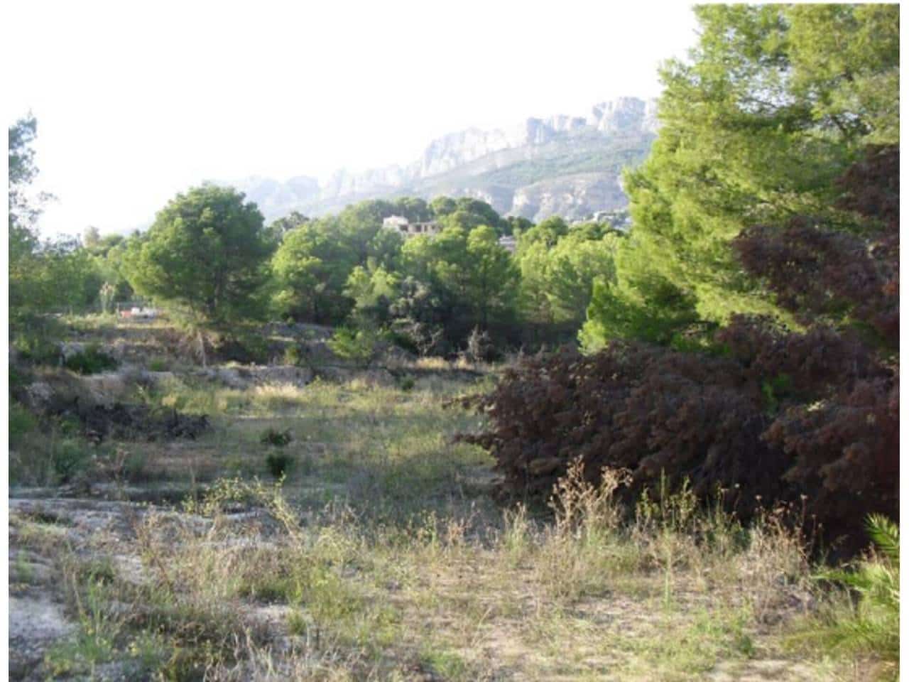 Terreno Non Edificato in vendita in Altea - 650.000 € (Rif: 7942313)