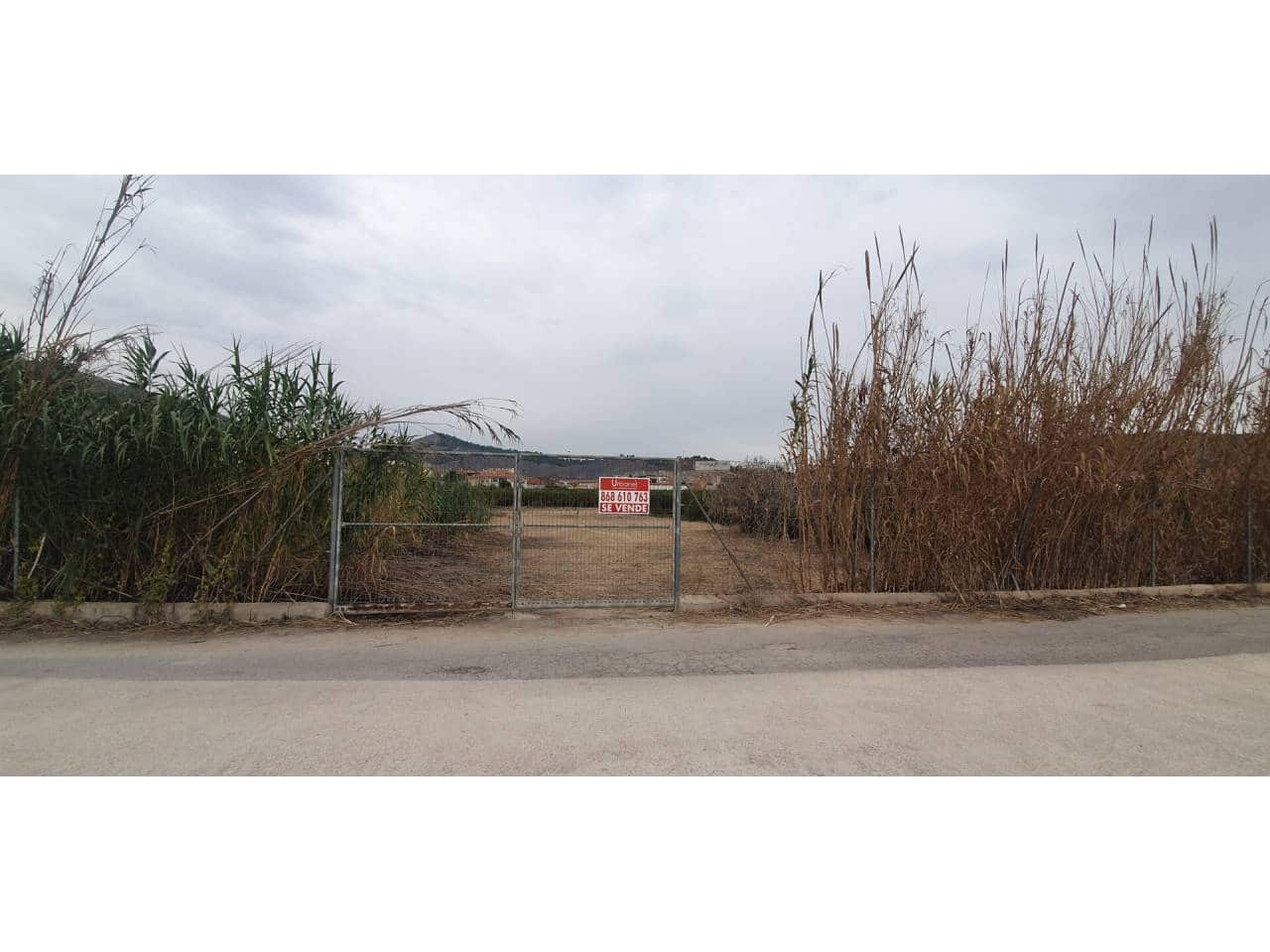 Finca/Hus på landet till salu i El Esparragal - 45 000 € (Ref: 8072788)