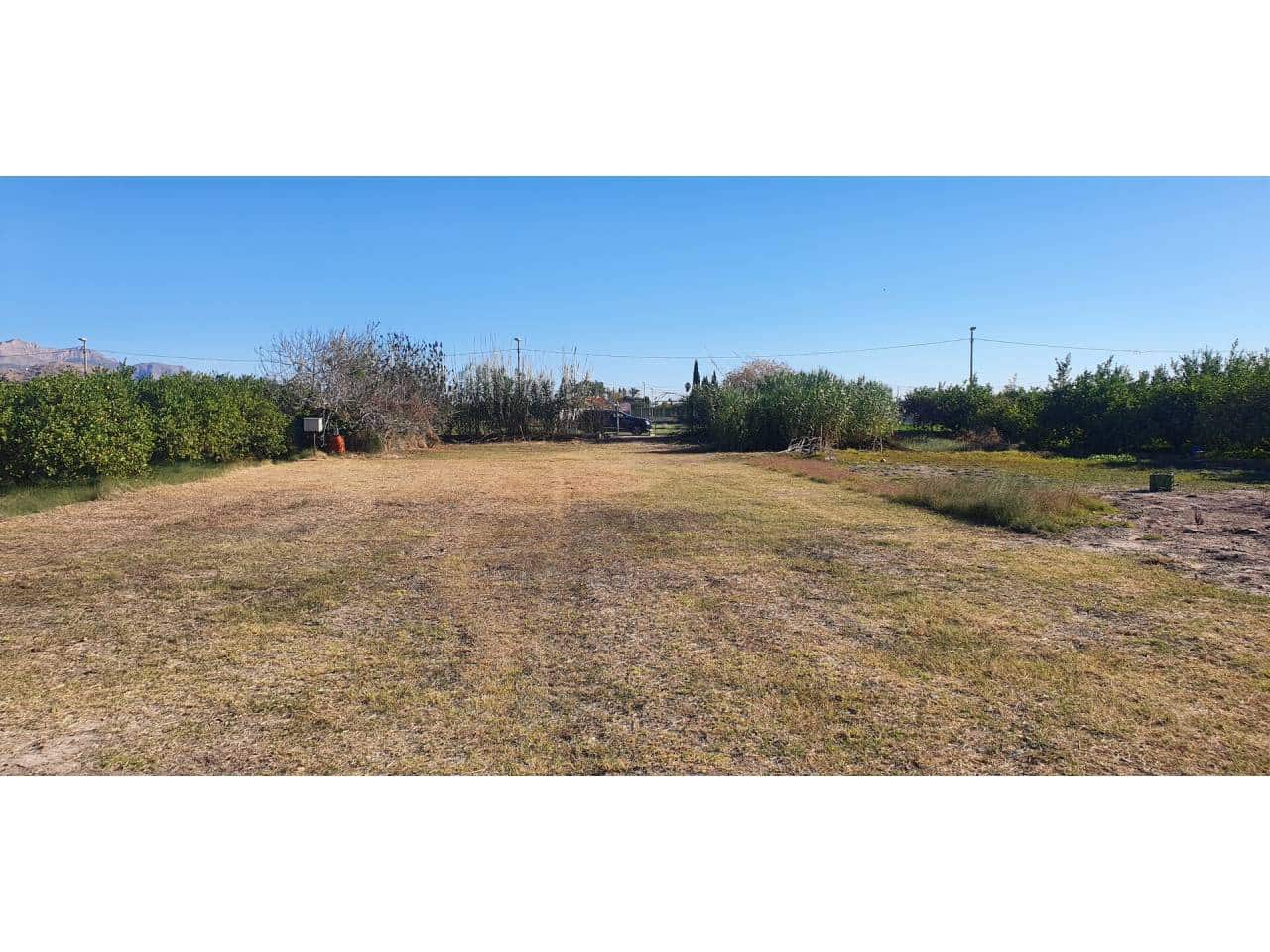 Finca/Hus på landet till salu i El Esparragal - 45 000 € (Ref: 8072788)