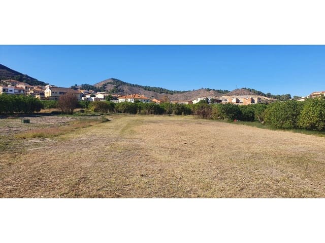 Finca/Herregård til salgs i El Esparragal, Murcia by - € 45 000 (Ref: 8072788)