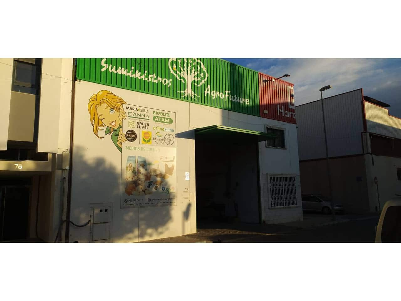 Virksomhed til salg i San Pedro del Pinatar - € 305.000 (Ref: 8138542)