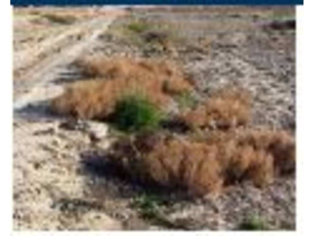 Finka/Dom wiejski na sprzedaż w Beniajan - 571 600 € (Ref: 8323832)