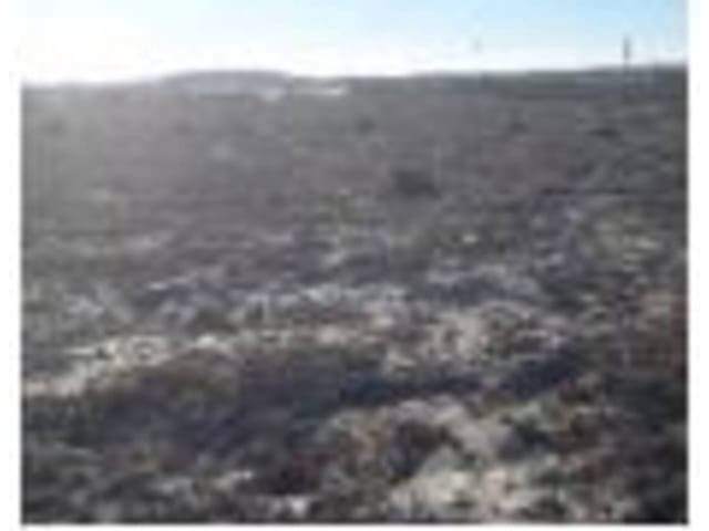 Finca/Herregård til salgs i Beniaján, Murcia by - € 571 600 (Ref: 8323832)