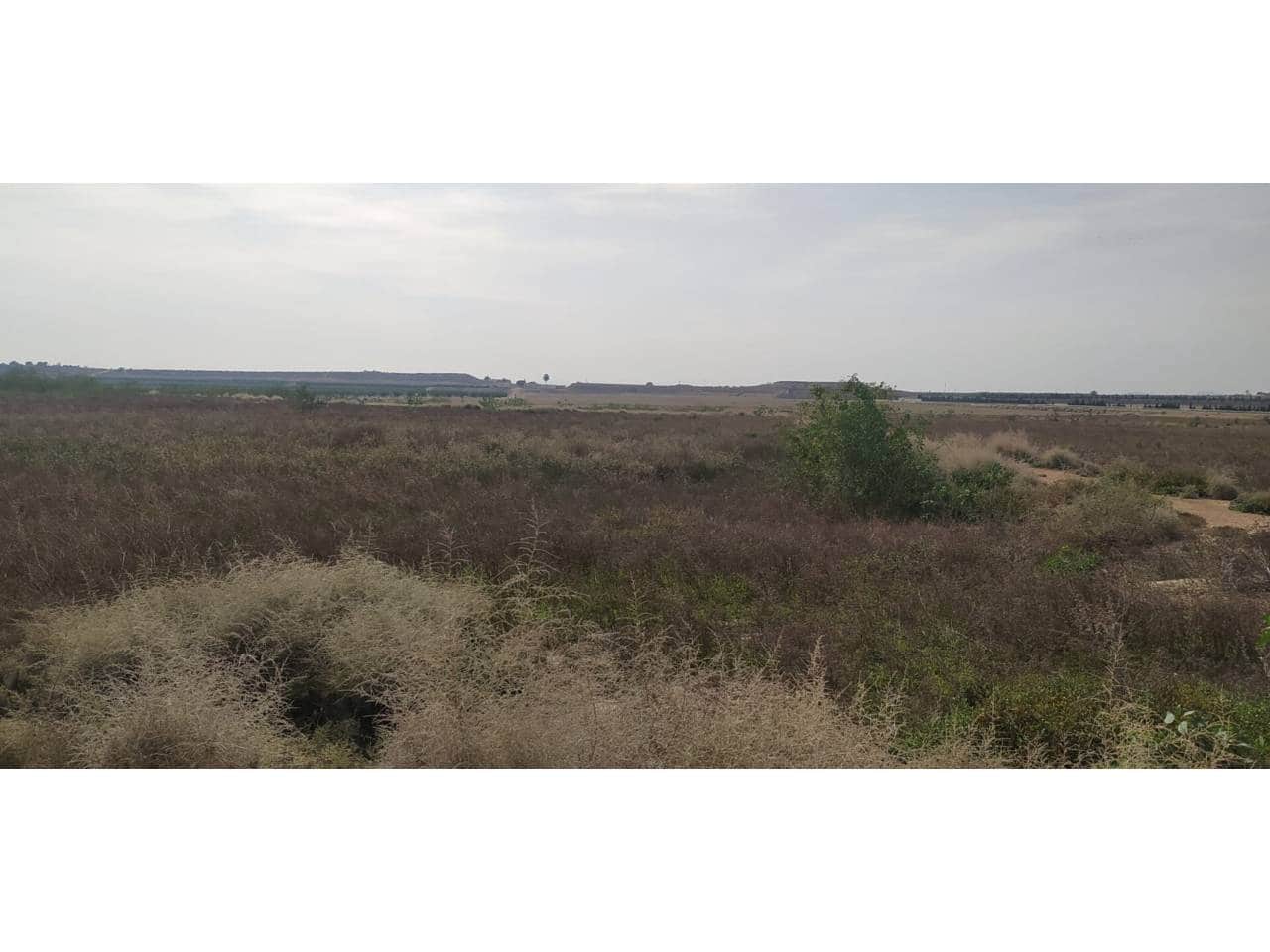 Finka/Dom wiejski na sprzedaż w Beniajan - 571 600 € (Ref: 8323832)