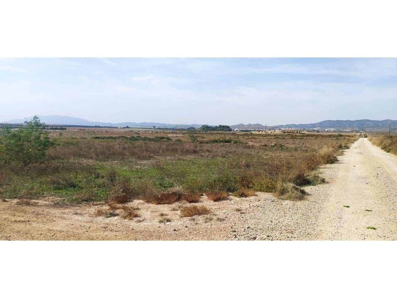 Finka/Dom wiejski na sprzedaż w Beniajan - 571 600 € (Ref: 8323832)