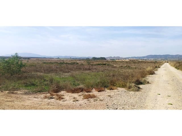 Finca/Herregård til salgs i Beniaján, Murcia by - € 571 600 (Ref: 8323832)