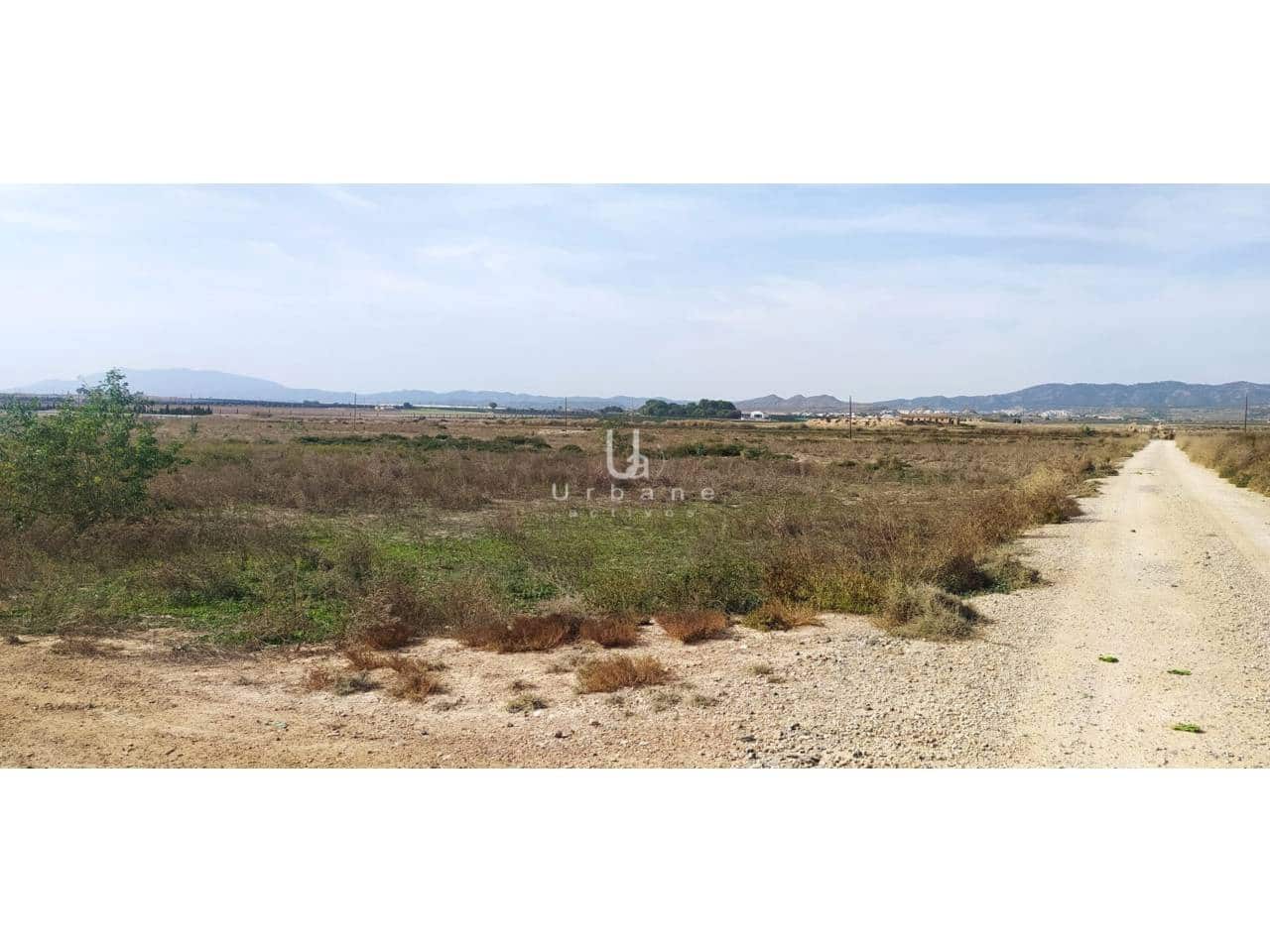 Finka/Dom wiejski na sprzedaż w Beniajan - 571 600 € (Ref: 8323832)