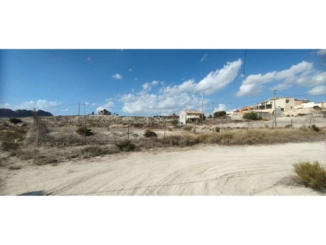 Undeveloped Land for sale in Molina de Segura - € 15,000 (Ref: 8543971)