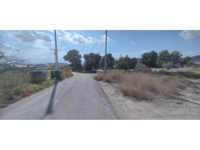 Undeveloped Land for sale in Molina de Segura - € 15,000 (Ref: 8543971)